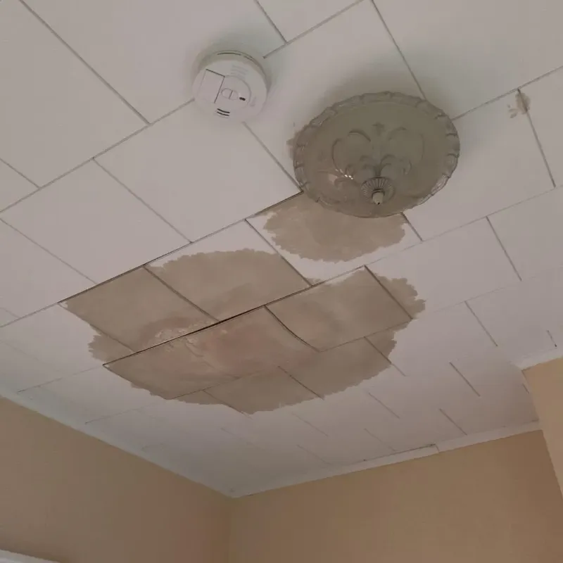 Ceiling Water Damage Repair in Brewster, OH