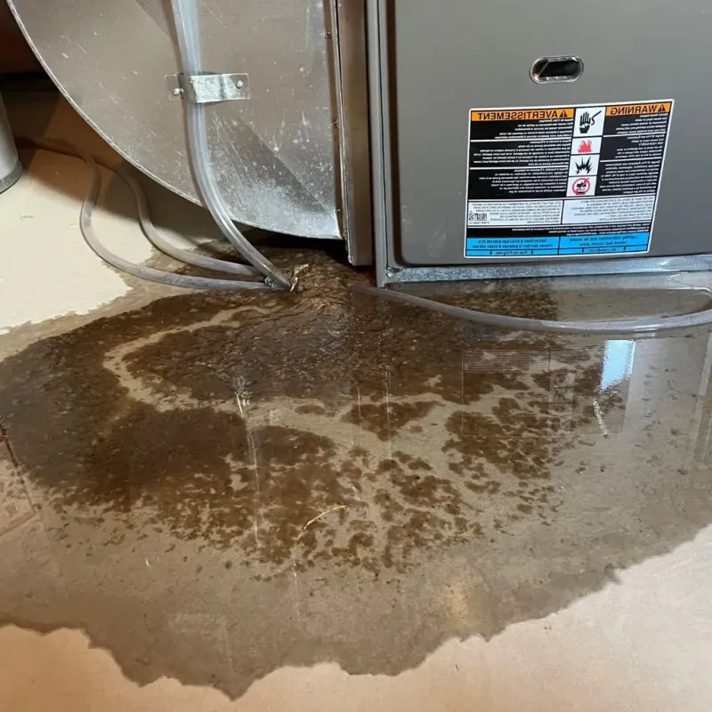 Pipe Burst and Leak Restoration in Brewster, OH